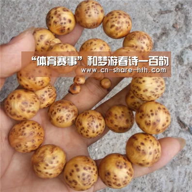 体育新闻