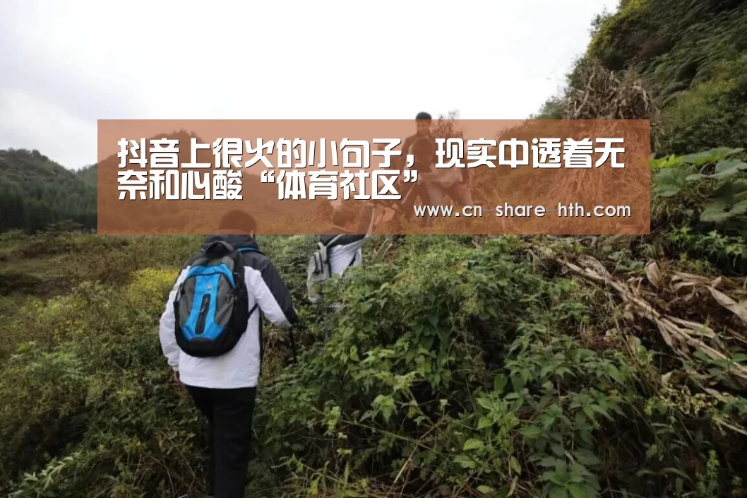 体育数据分析